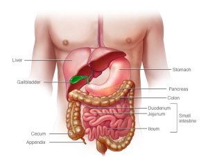 التهاب روده IBD